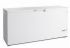 Морозильный ларь Tefcold FR605